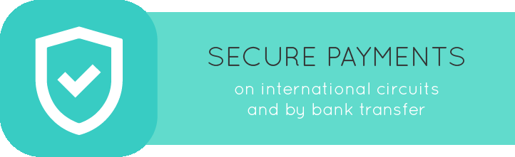 Secure payments on international circuits and by bank transfer